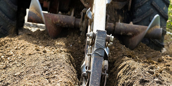 trenching-panorama